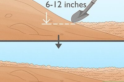 How to Plant on a Slope