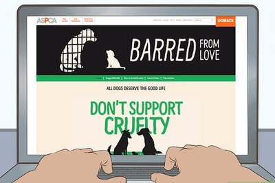 How to Boycott Puppy Mills