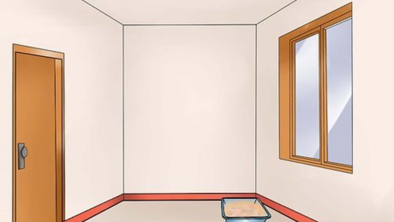 How to Resolve Cat Litter Tray Issues