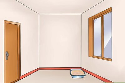 How to Resolve Cat Litter Tray Issues