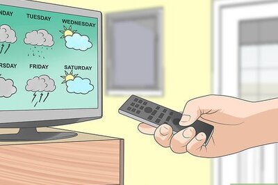 How to Live With Allergies to Pollen