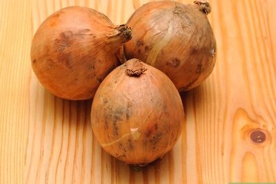 How to Store Onions
