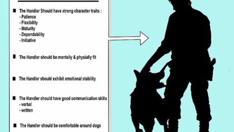 How to Avoid Liability Issues in K9 Police Units