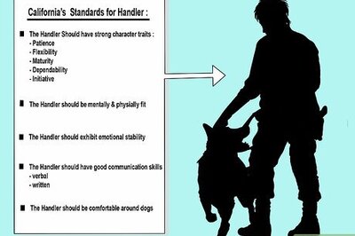How to Avoid Liability Issues in K9 Police Units