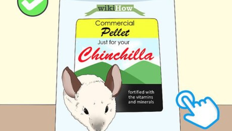 How to Feed a Chinchilla