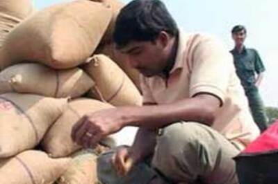 Chhattisgarh polls: Cheap rice for votes | Blog