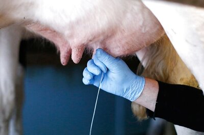 Know The Things to be Kept in Mind While Storing Milk