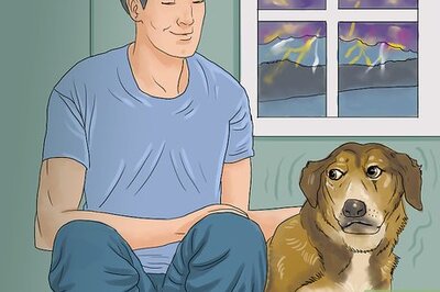 How to Calm a Dog During Thunderstorms