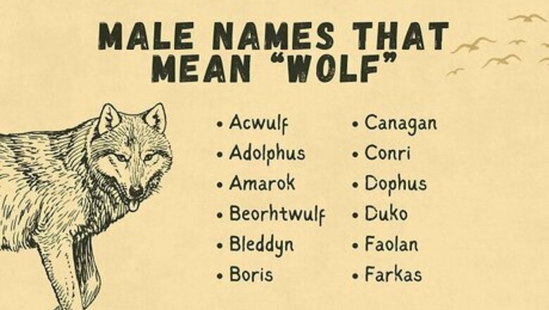 The Best Names That Mean “Wolf” or “Werewolf”