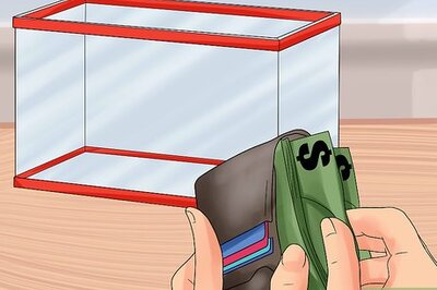 How to Take Care of Fiddler Crabs