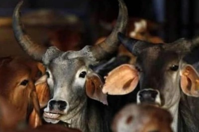 Karnataka Govt Promulgates Anti-cow Slaughter Ordinance