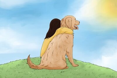 The Symbolism and Spiritual Meanings Behind Dreams About Dogs