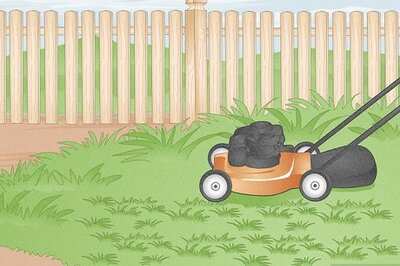 How to Edge a Lawn with String Trimmer