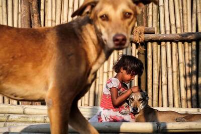 Year of the Dog or Not? In 2022, Canines Made News for the Good, the Bad and the Ugly