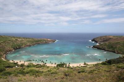 Spend Time With Nature To Shun Depression