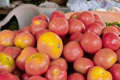 Tomato Prices Fall In Parts Of Tamil Nadu, Available At Below Rs 100 Per Kg