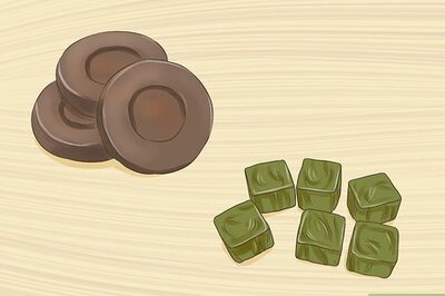 How to Germinate Seeds in Hydroponics