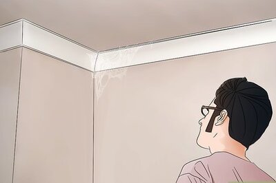 How to Get Rid of Spider Webs