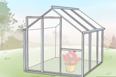 How to Grow in a Greenhouse