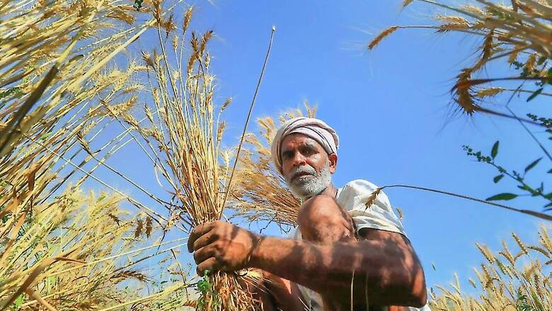 Agriculture Budget Increased to Help Double Farm Income by 2022, Says Prime Minister Narendra Modi