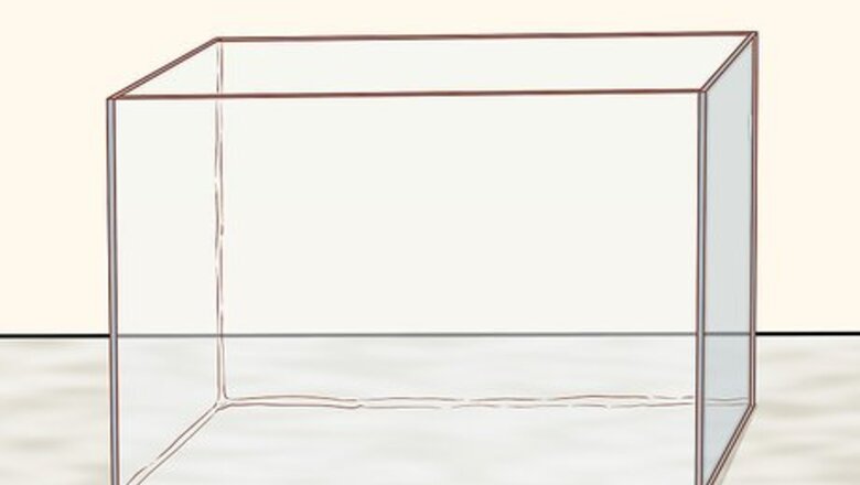 How to Keep a Wild Caught Toad As a Pet