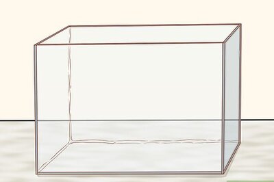 How to Keep a Wild Caught Toad As a Pet