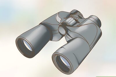 How to Bird Watch