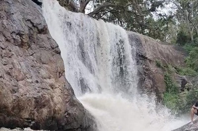Watch: In TN's Virudhunagar, Shenbagathoppu Waterfall In All Its Glory