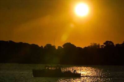 Maine Lobster Business Salvaged Its Summer Despite Pandemic