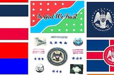 Creator of mosquito-themed state flag says design was a joke