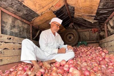 Govt Begins Retail Sale of ONION At Rs 25 Per Kg, Mother Dairy's Safal Outlets To Also Sell
