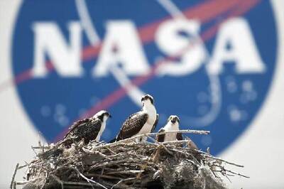 NASA Study Reveals Numerous Gene Changes Upon Space Travel