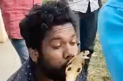 WATCH: Man Tries to Kiss a Cobra, Gets Bitten on the Lip