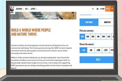 How to Help Protect Giant Pandas