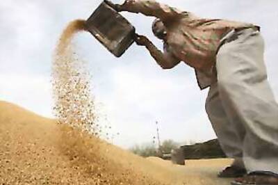 Pulses, wheat, rice get costlier; common man hurt