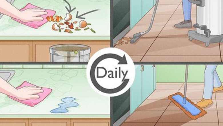 How to Get Rid of Ants in the House