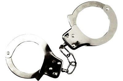 Man Complains About Closed Panchayat Office, DM Threatens to Slap Him, Sends Him to Jail