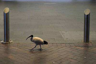 Australia's Melbourne Extends Sixth Virus Lockdown as Delta Variant Wreaks Havoc