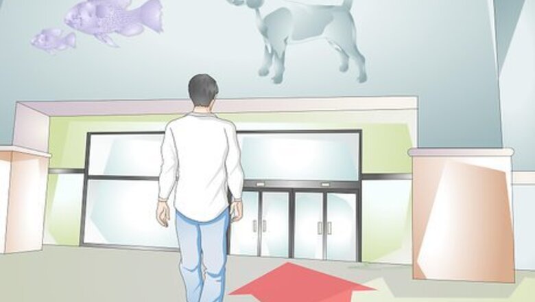 How to Buy Pet Training Supplies