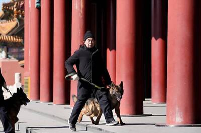 In Beijing's Forbidden City, no Holiday for Canine Patrol