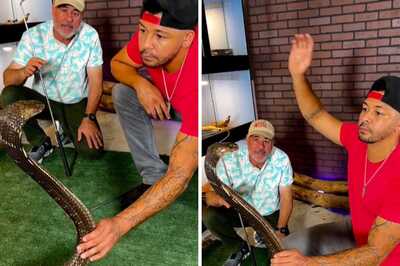 WATCH: Man's Heart-Stopping Escape From King Cobra’s Attack