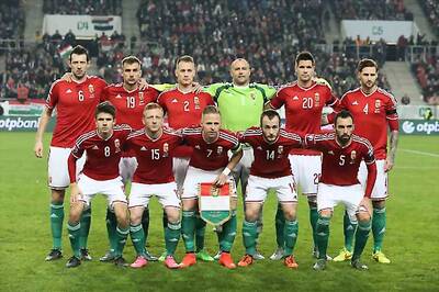 Hungary beat Norway 2-1, qualify for Euro 2016