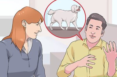 How to Choose a Dog Together As a Married Couple
