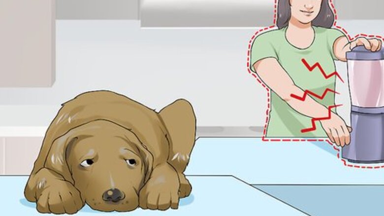 How to Handle New Noise Phobias in Older Dogs
