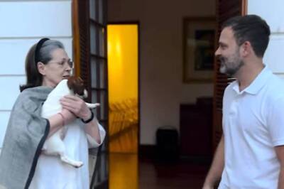 Meet Noorie, Rahul Gandhi's 'Little Surprise' For 'Ma' Sonia From Goa Trip | Video