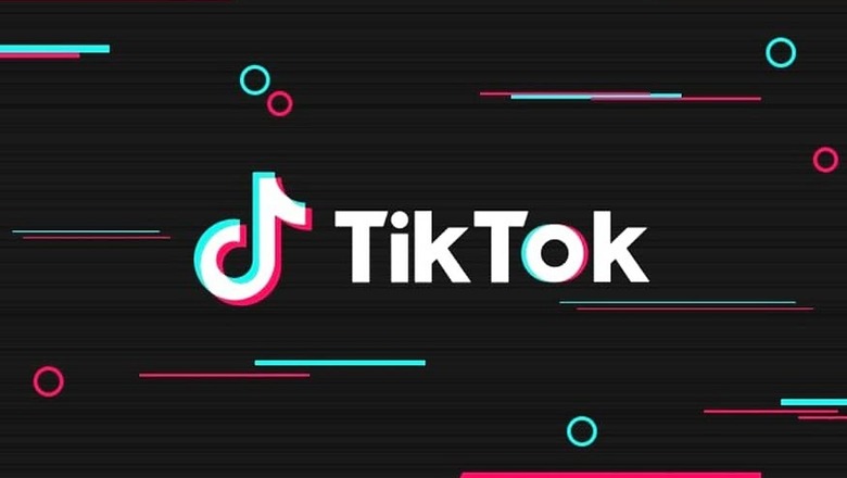 Ramp Walk, Dancing: 'Theatrical Performances' on TikTok By Flight Crew Worries DGCA