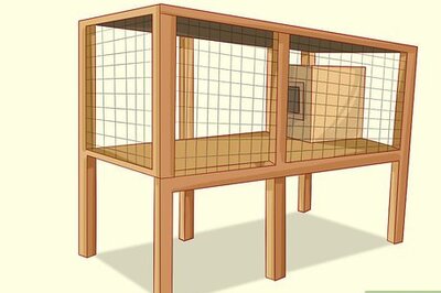 How to Protect Chickens from Feral Animals