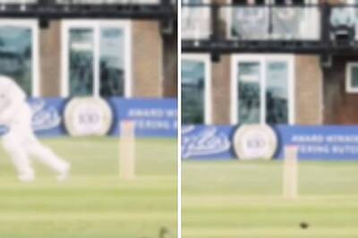 When A Duck Pulled Off 'The Greatest Duck' In Cricket. Watch How