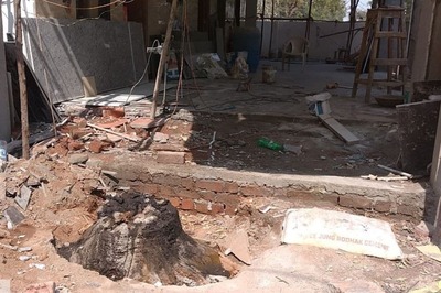 Hyderabad Man Fined Rs 62,000 for Chopping 40-year-old Neem Tree After Class 8 Boy Alerts Officials