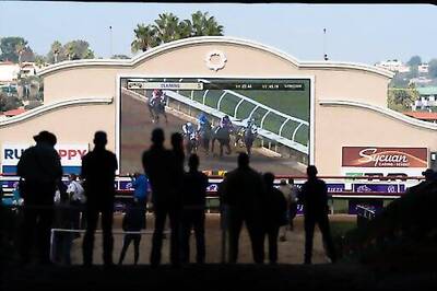 Black Trainer Taking Aim At Breeders' Cup With Modest Filly